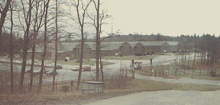 MSA in spring 
 of 1969