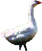 Guard Goose