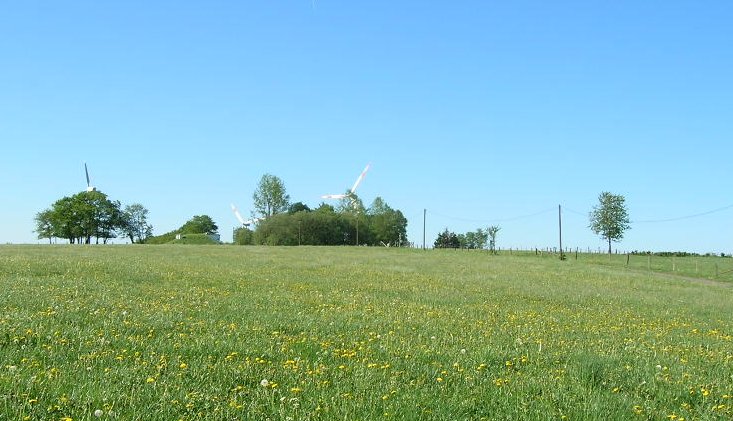 Steinborn - May 1st, 2007