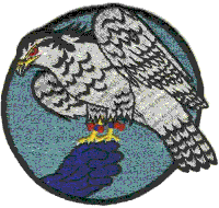 822 TMS Patch