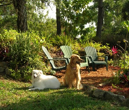 Daisy_and_Taz