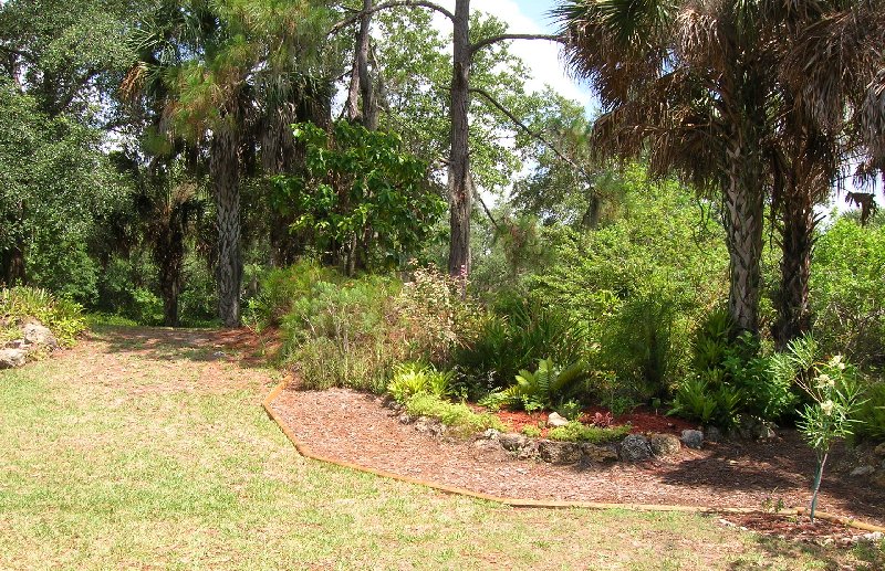 looking back toward the street