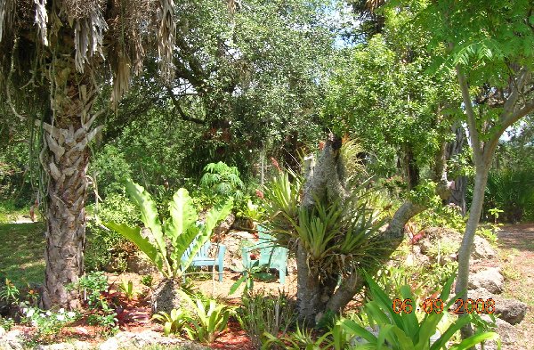 The Sanctuary after the tree was removed