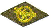 Discharged Insignia